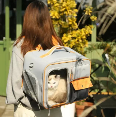 Pet Travel Backpack